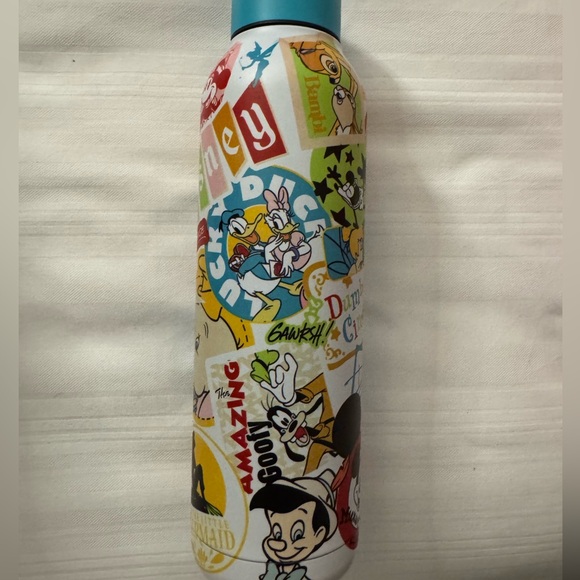 Disney Other - Disney parks 2025 Collage Water Bottle